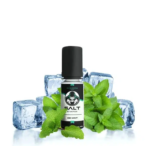 Ice mint - Salt E Vapor